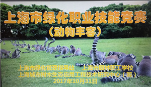 331142_副本.jpg 331142_副本.jpg
