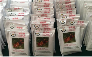 329708_副本.jpg 329708_副本.jpg