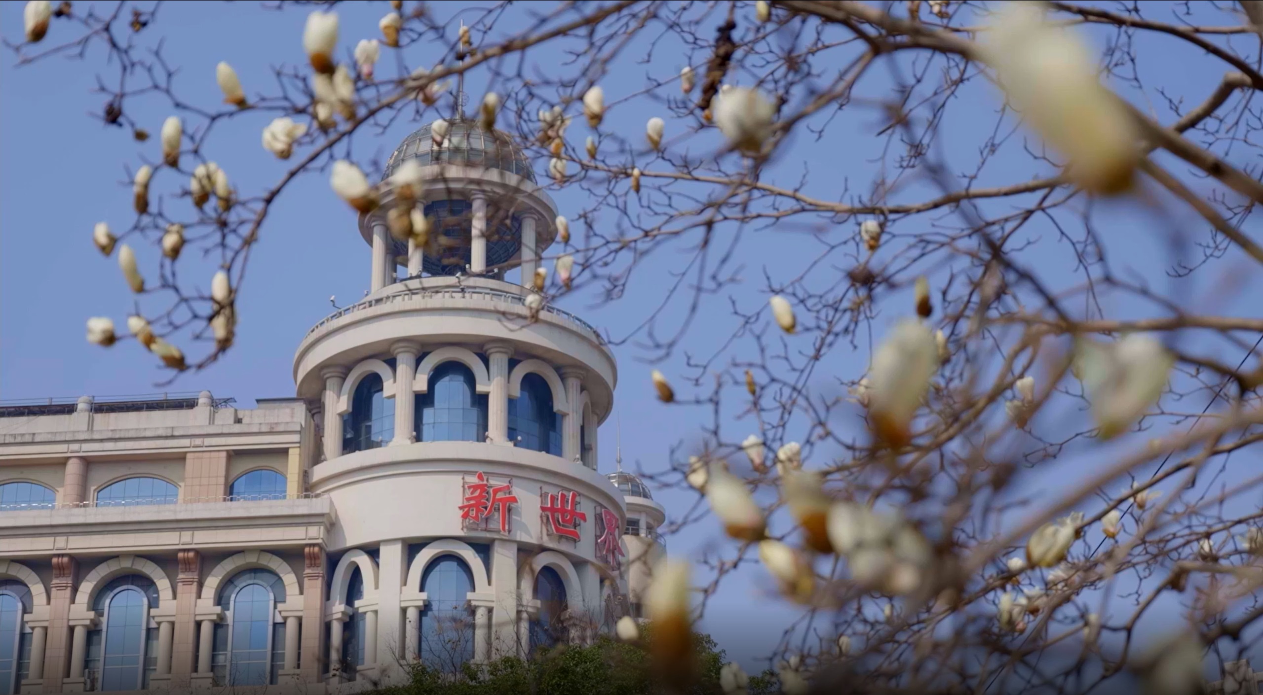 QQ浏览器截图20241011164846.jpg