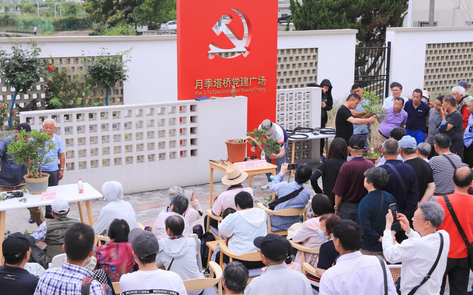 3.JPG