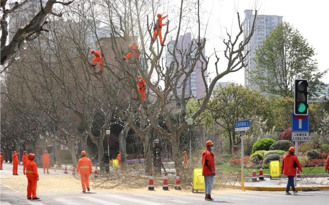 微信图片_2025-04-14_085154_408.png