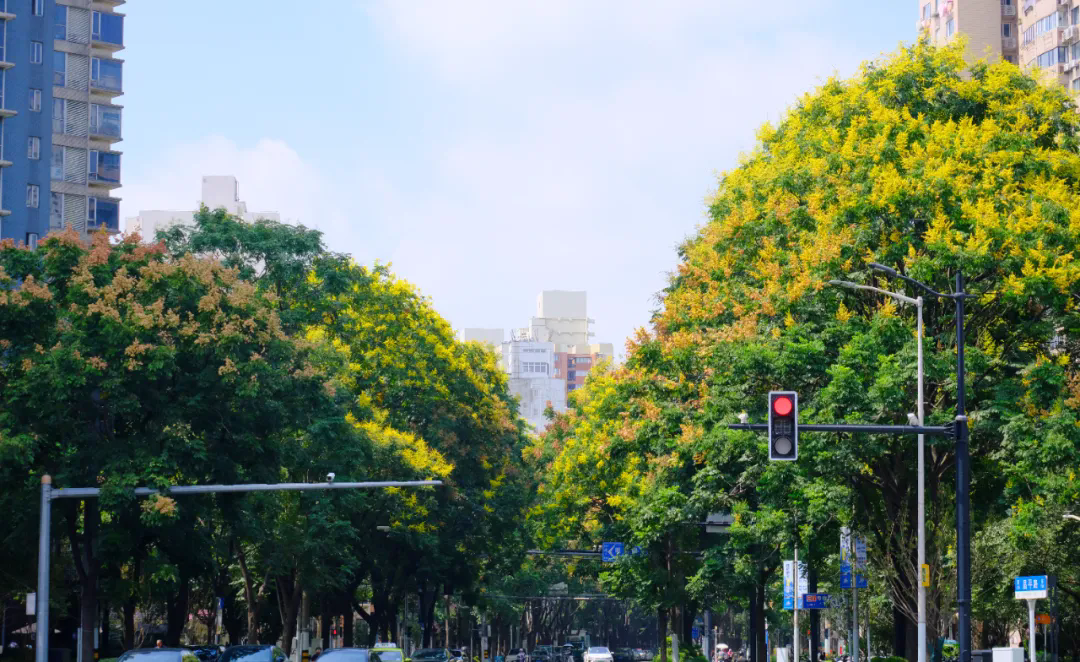 640.webp (2).png